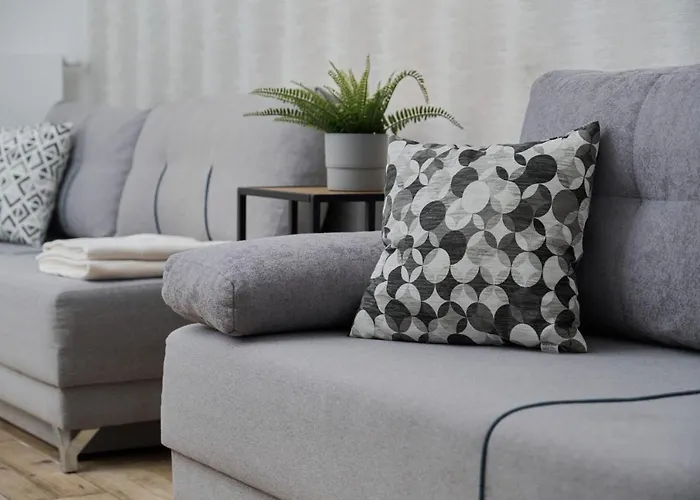 Chique For A Big Family With 2 Parking Spaces By Renters 公寓