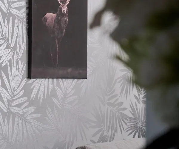 公寓 Chique For A Big Family With 2 Parking Spaces By Renters